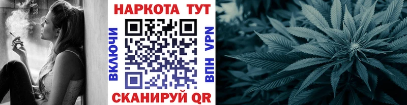 APVP Электрогорск