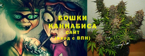 твердый Абаза