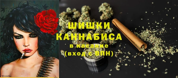 твердый Абаза