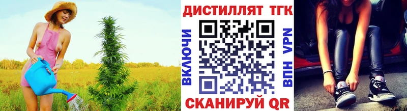 где купить наркоту  shop телеграм  ТГК THC oil  Электрогорск 