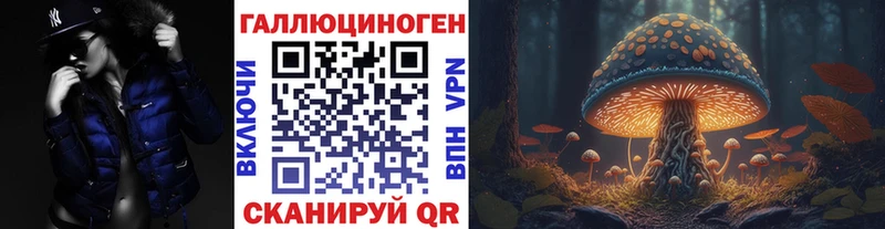 наркотики  Электрогорск  Псилоцибиновые грибы Psilocybe 