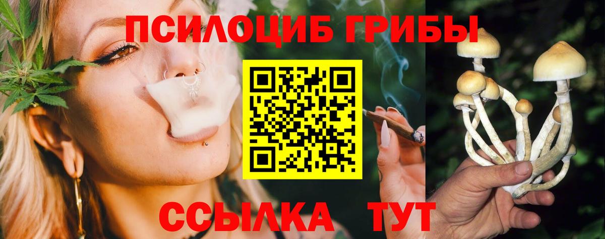 Электрогорск  Галлюциногенные грибы прущие грибы  Вход с VPN 